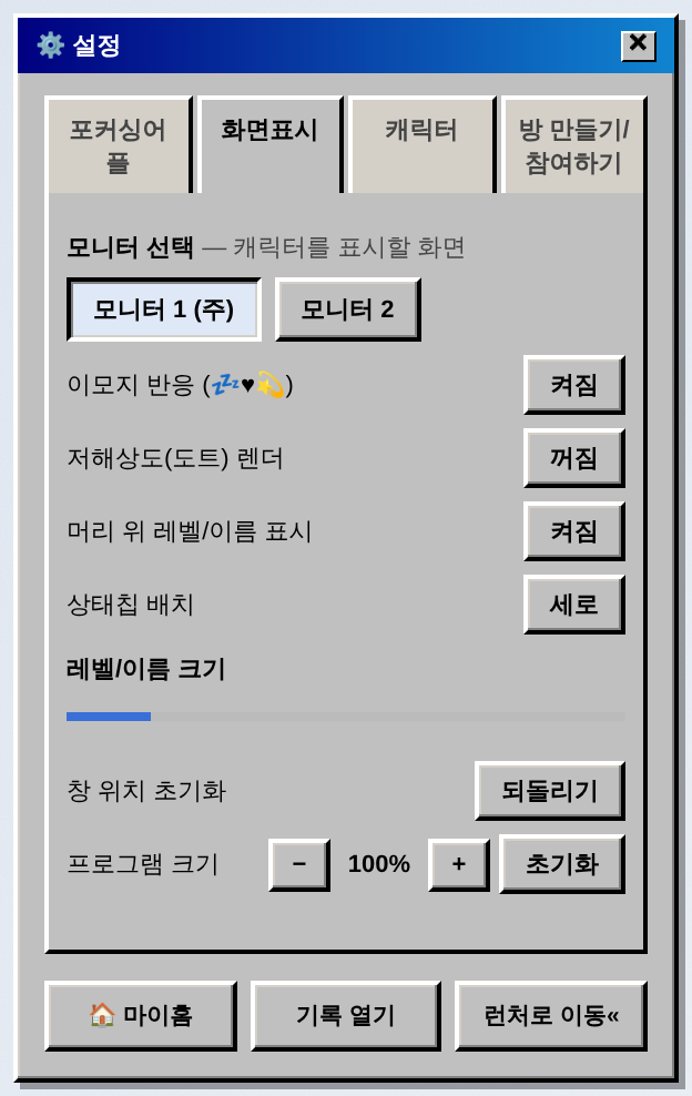 화면표시 탭
